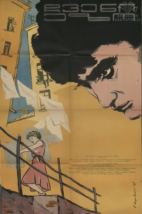ჩვენი ეზო poster