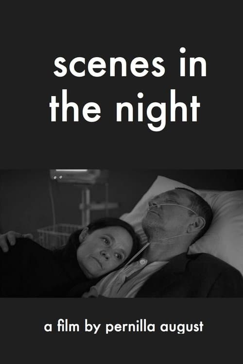 Scener ur natten poster