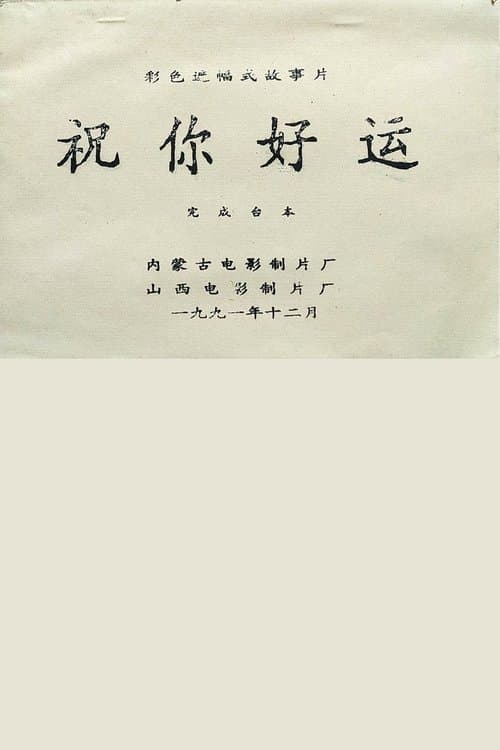 祝你好运 poster