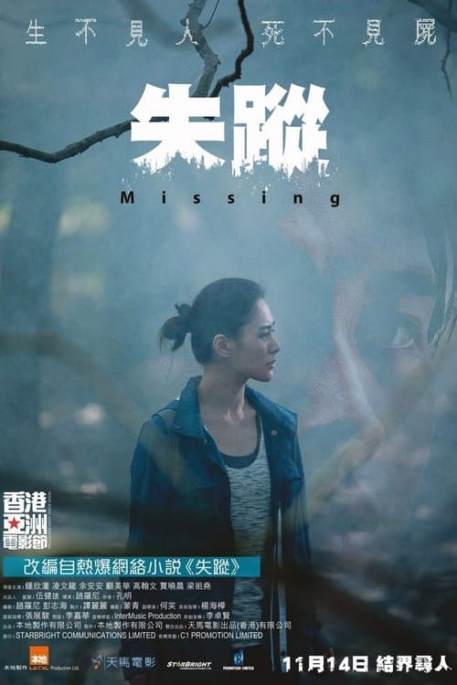 失蹤 poster