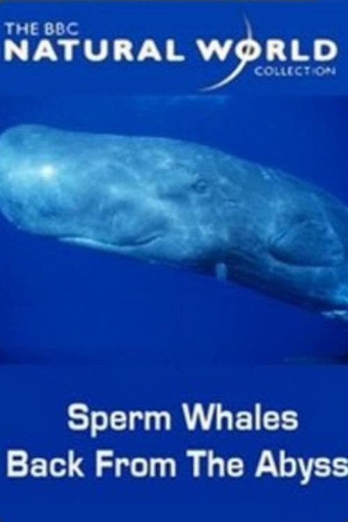 Sperm Whales: Back from the Abyss poster