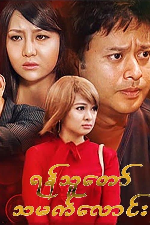 ရန်သူတော်သမက်လောင်း poster