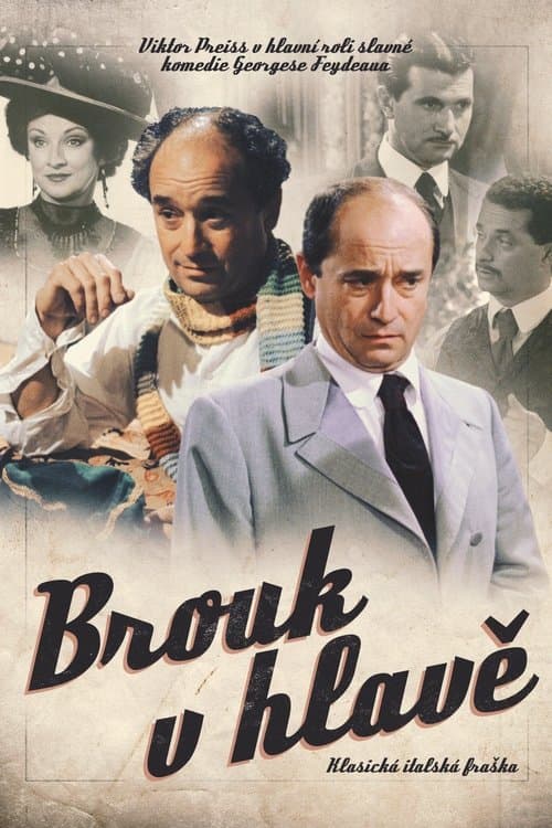 Brouk v hlavě poster