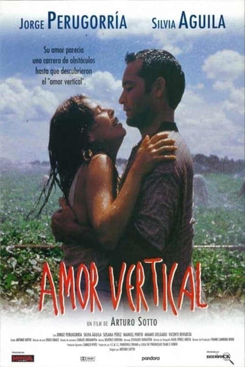 Amor vertical poster