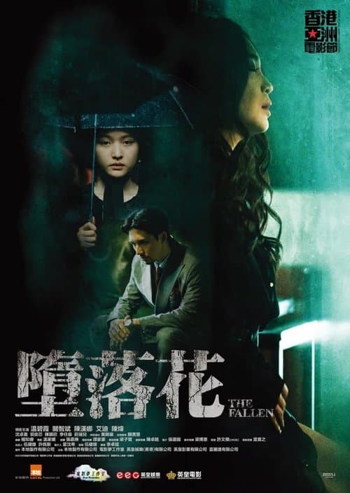 墮落花 poster