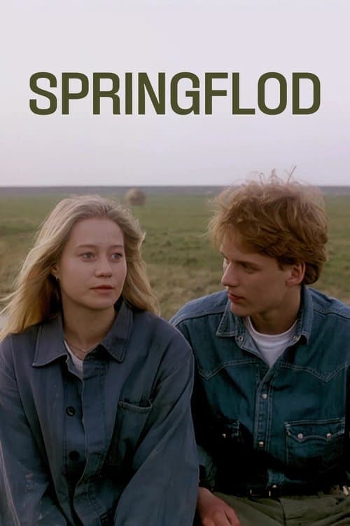 Springflod poster
