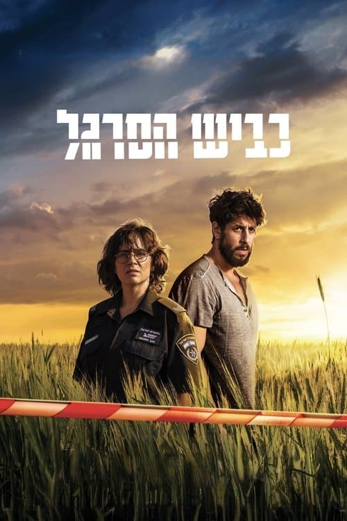 כביש הסרגל poster