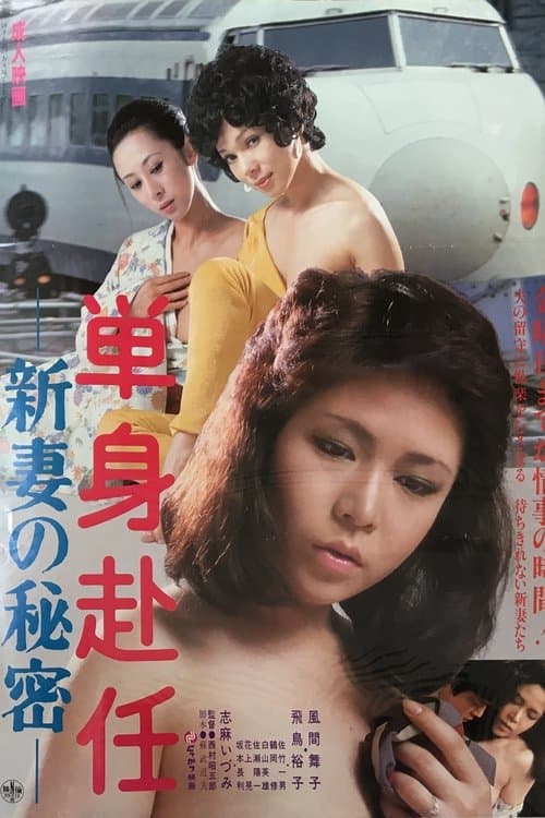 単身赴任　新妻の秘密 poster