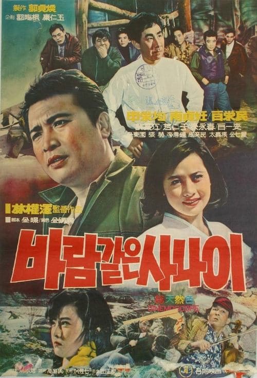바람같은 사나이 poster