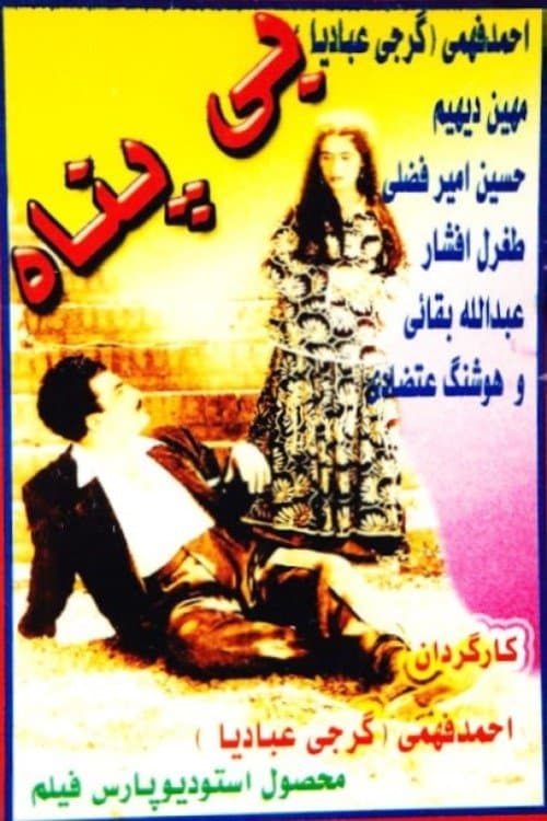 بی‌پناه poster