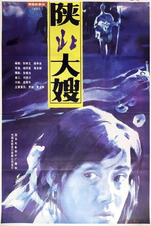陕北大嫂 poster