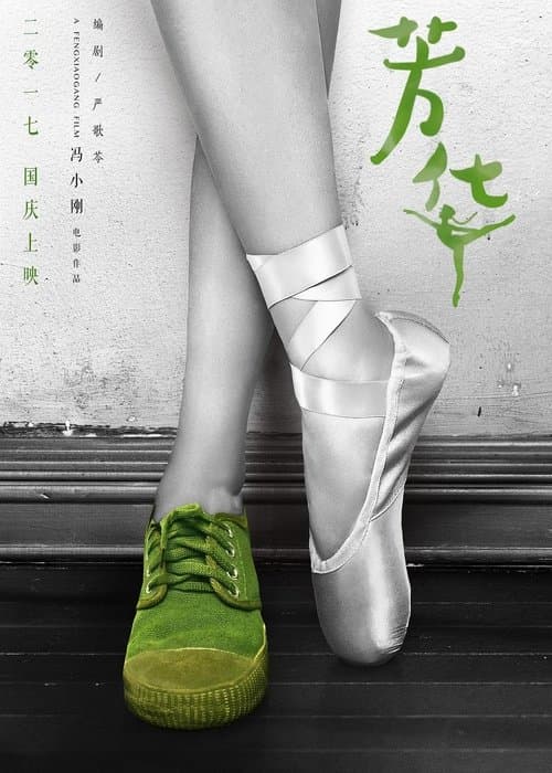 芳华纪录片：我把芳华献给你 poster