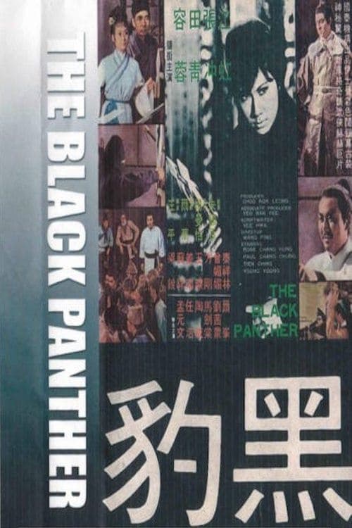黑豹 poster