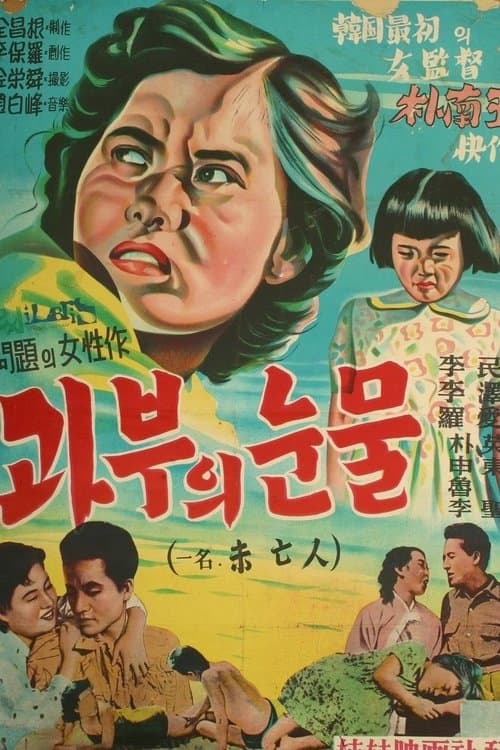 미망인 poster