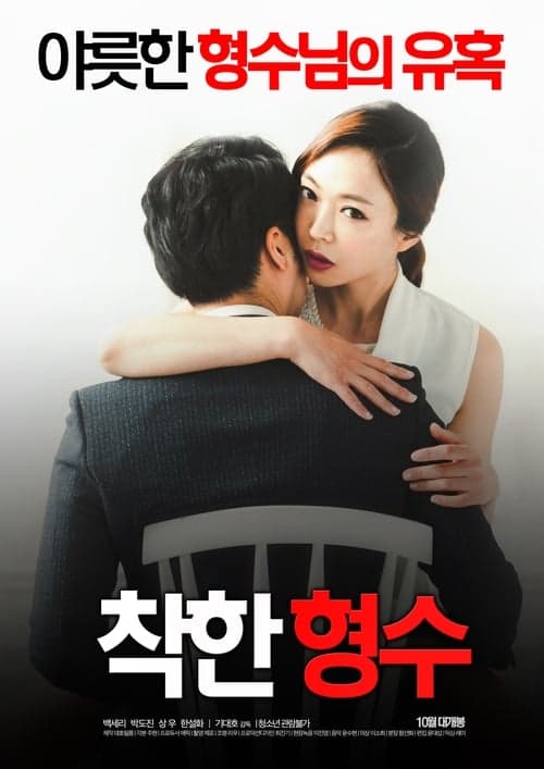 착한 형수 poster