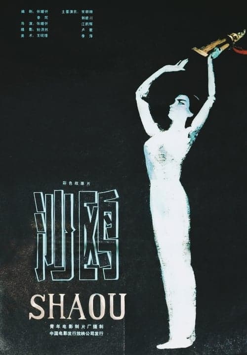 沙鸥 poster