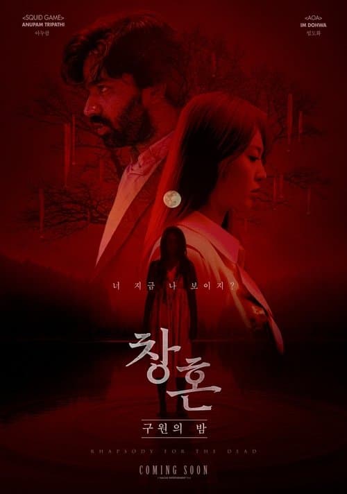 창혼: 구원의 밤 poster