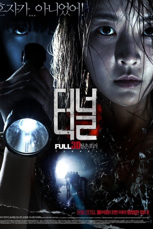 터널 3D poster