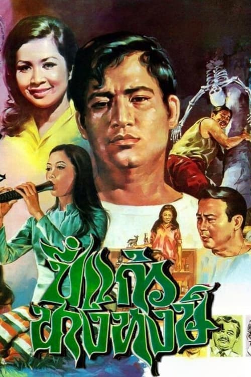 ปี่แก้วนางหงษ์ poster