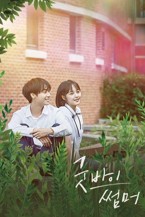 굿바이 썸머 poster