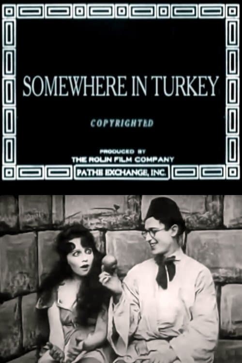 Somewhere in Turkey poster