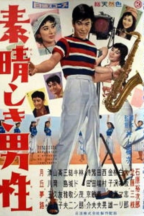 素晴しき男性 poster