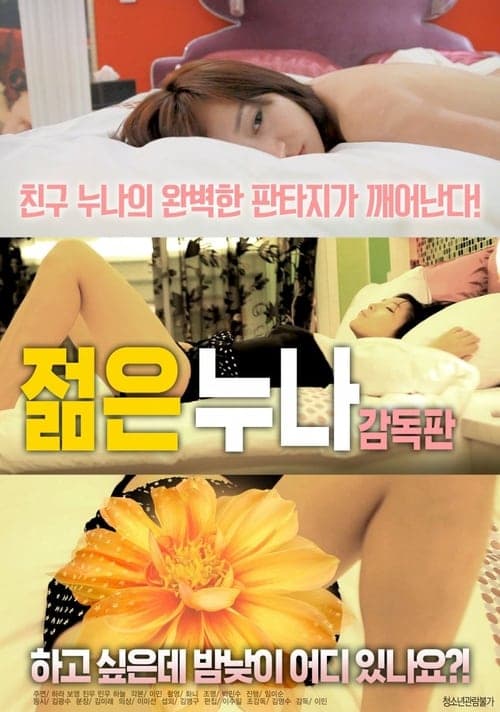 젊은 누나 poster