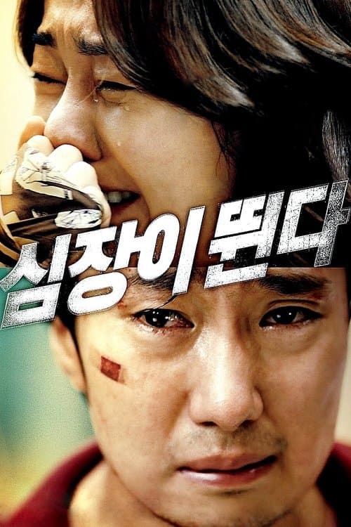 심장이 뛴다 poster
