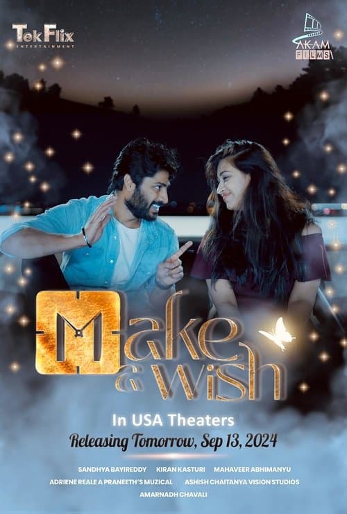 మేక్ ఆ విష్ poster