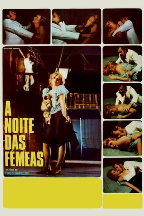 A Noite das Fêmeas poster