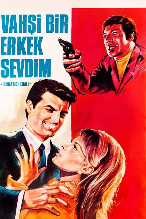 Vahşi Bir Erkek Sevdim poster