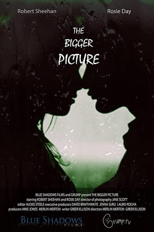 The Bigger Picture poster