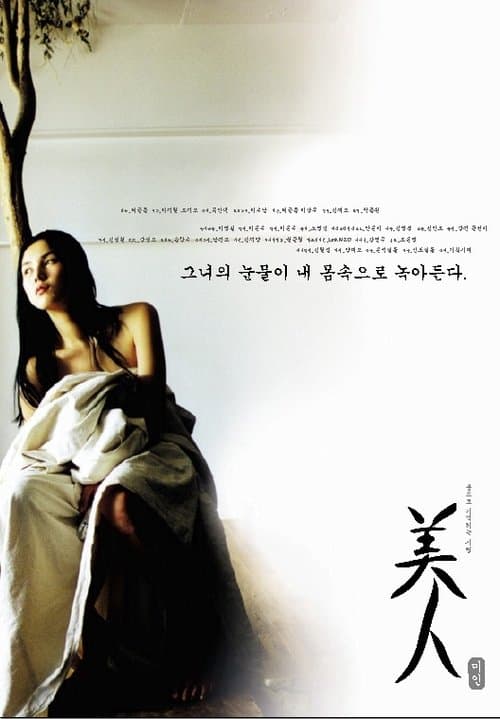 미인 poster