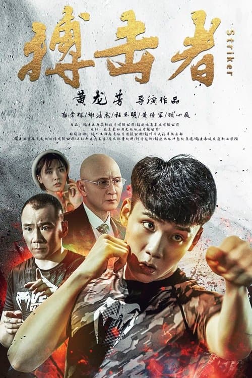 搏击者 poster