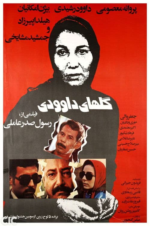 گلهای داوودی poster