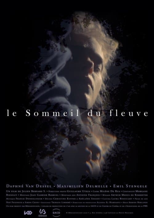 Le sommeil du fleuve poster