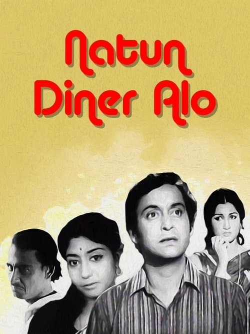নতুন দিনের আলো poster