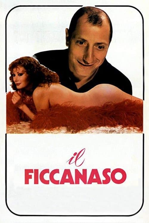 Il ficcanaso poster