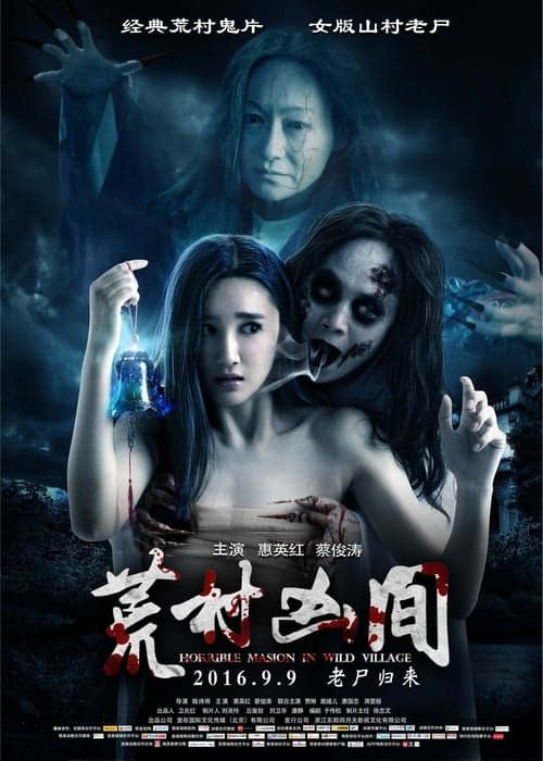 荒村怨灵 poster