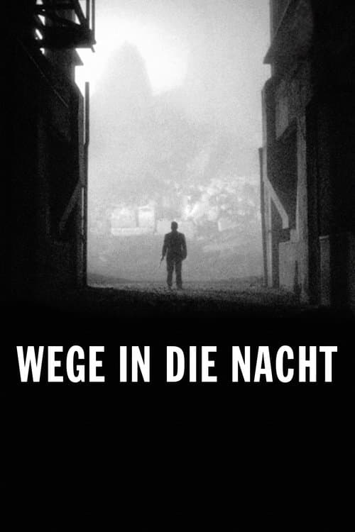 Wege in die Nacht poster