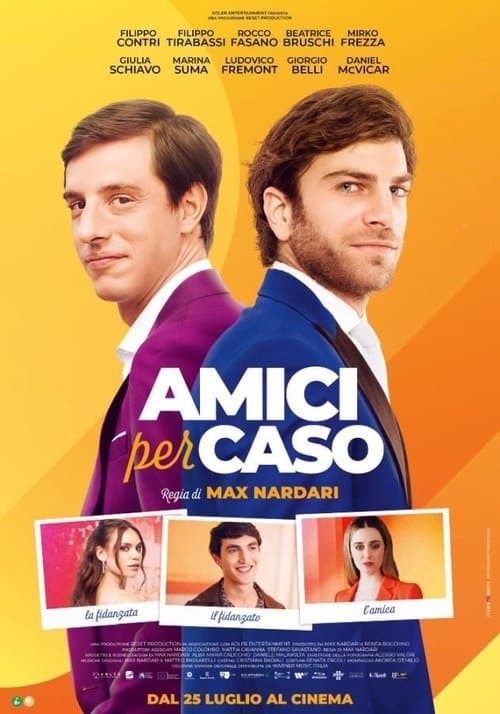 Amici per caso poster