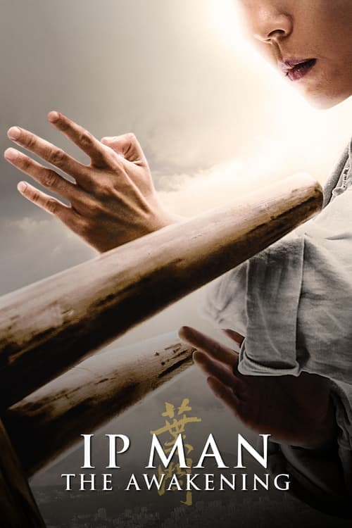 Ip Man: The Awakening poster