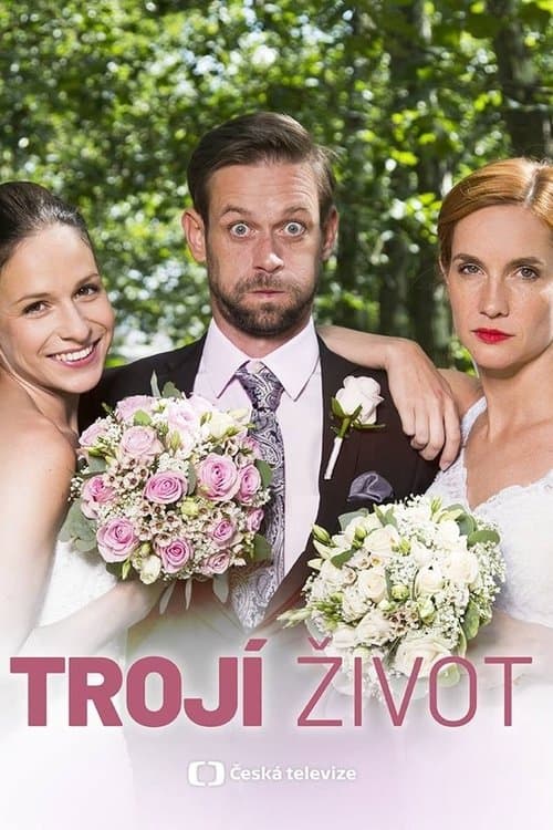 Trojí život poster