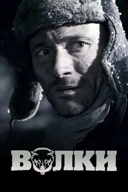Волки poster