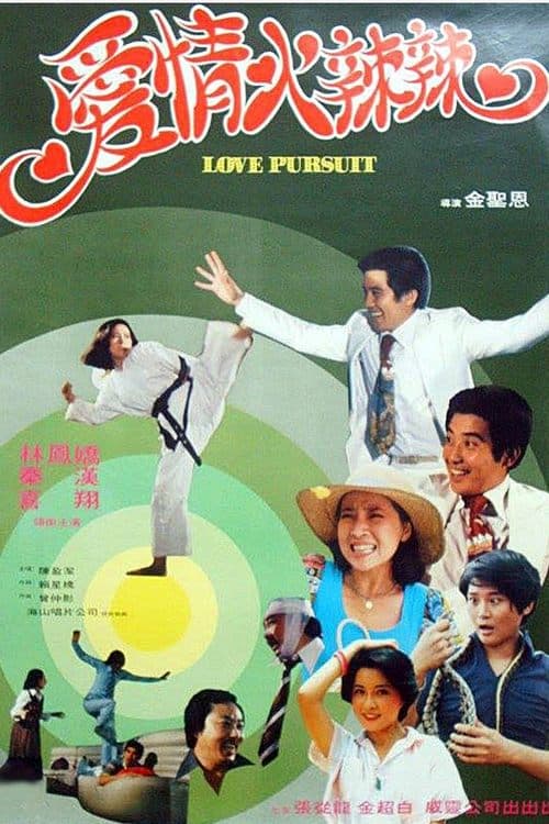 愛情火辣辣 poster