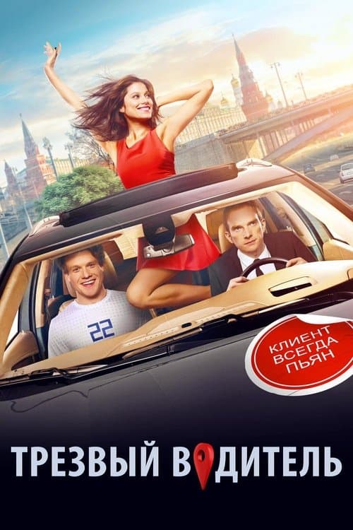 Трезвый водитель poster