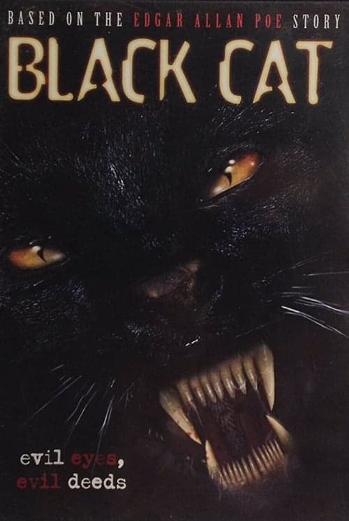 Black Cat: Böse Augen - Blutige Morde poster