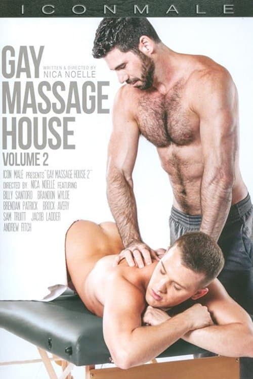 Gay Massage House 2 poster