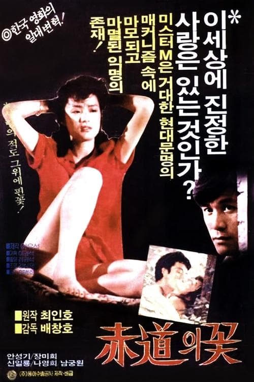 적도의 꽃 poster