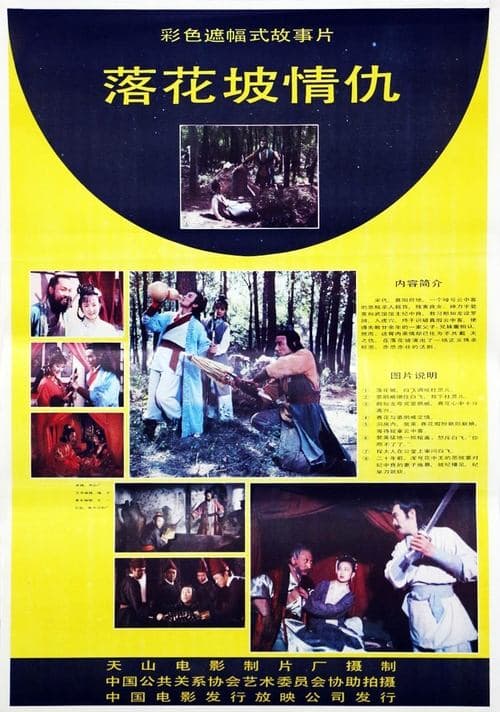 落花坡情仇 poster